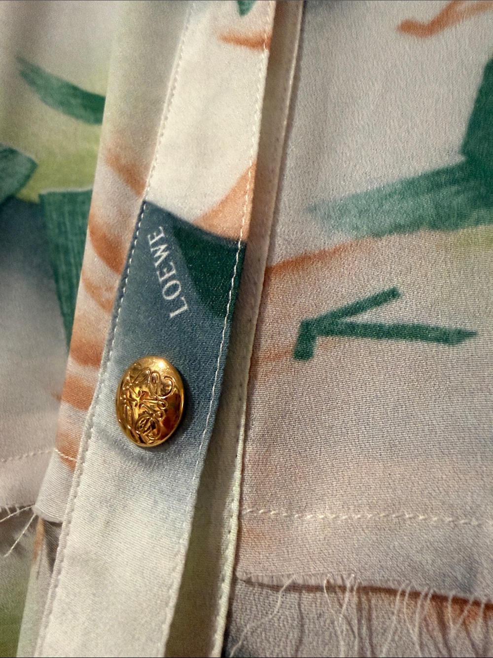 Loewe Printed Button-Front Maxi Dress in Green, Cream and Brown - Picture 3 of 9